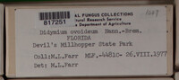 Image Associated With the Occurence
